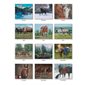 CALENDRIER HOOF BEATS 2026