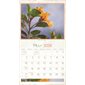 CALENDRIER BEAUTY IN BLOOMS 2026
