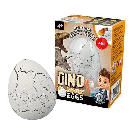 BUKI - DINO OEUF MAGIQUE ASST