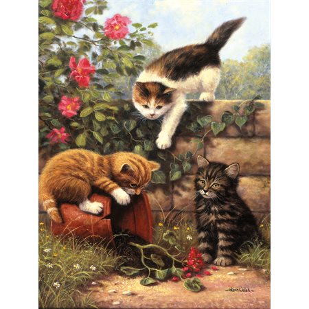 PEINTURE NUMERO JUNIOR - CHATONS JOUANT