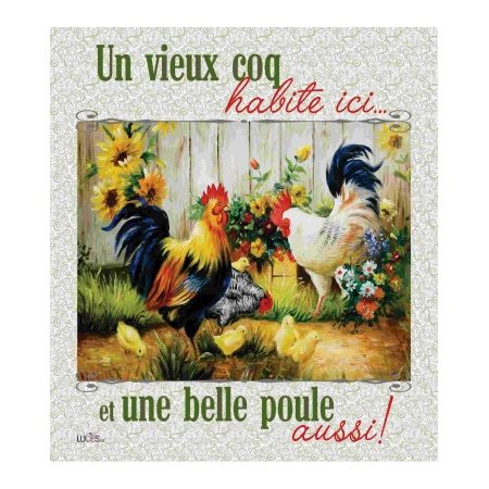 LAVETTE SUEDOISE - VIEUX COQ BELLE POULE